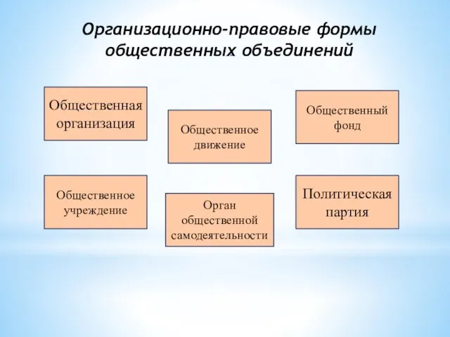 Организационно-правовые формы общественных объеди­нений Общественная организация Орган общественной самодеятельности Общественное учреждение