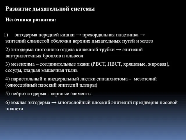 Развитие дыхательной системы энтодерма передней кишки → прехордальная пластинка → эпителий