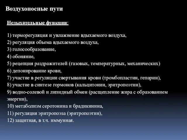 Воздухоносные пути Недыхательные функции: 1) терморегуляция и увлажнение вдыхаемого воздуха, 2)