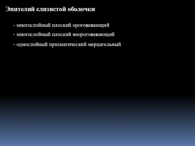 Эпителий слизистой оболочки - многослойный плоский ороговевающий - многослойный плоский неороговевающий - однослойный призматический мерцательный