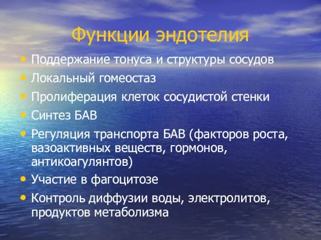 Функции эндотелия Поддержание тонуса и структуры сосудов Локальный гомеостаз Пролиферация клеток