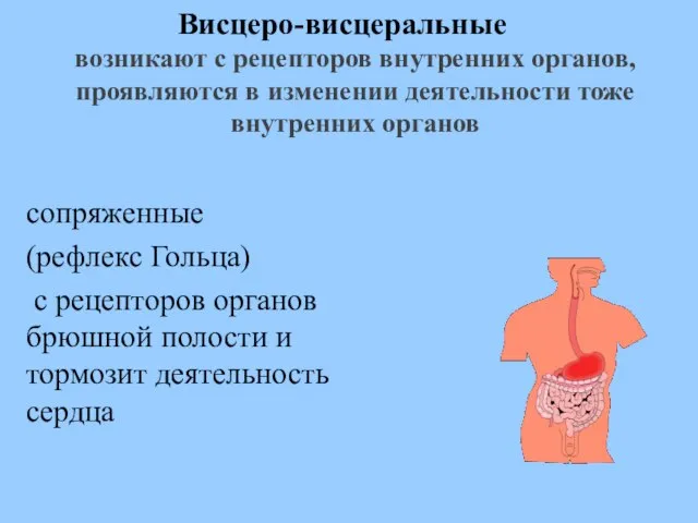 Висцеро-висцеральные возникают с рецепторов внутренних органов, проявляются в изменении деятельности тоже