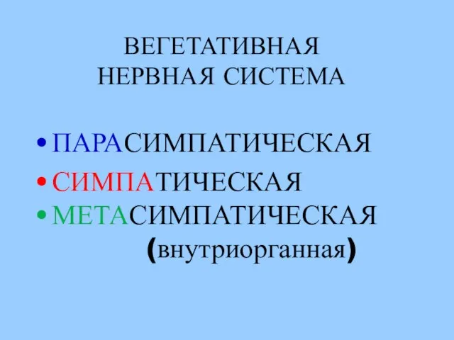 ВЕГЕТАТИВНАЯ НЕРВНАЯ СИСТЕМА ПАРАСИМПАТИЧЕСКАЯ СИМПАТИЧЕСКАЯ МЕТАСИМПАТИЧЕСКАЯ (внутриорганная)