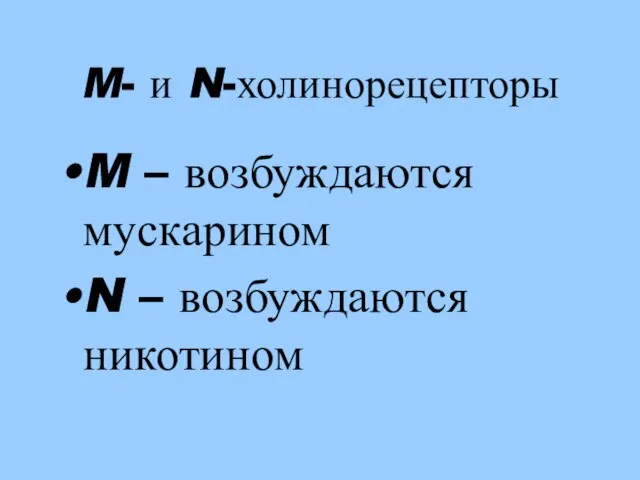 M- и N-холинорецепторы M – возбуждаются мускарином N – возбуждаются никотином