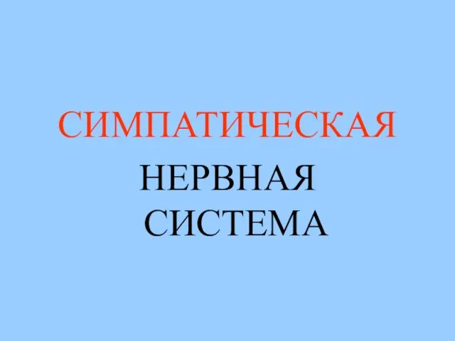 СИМПАТИЧЕСКАЯ НЕРВНАЯ СИСТЕМА