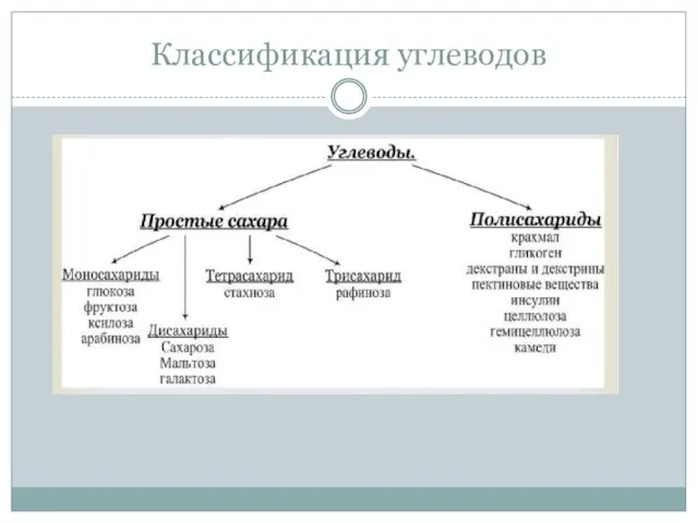 Классификация углеводов