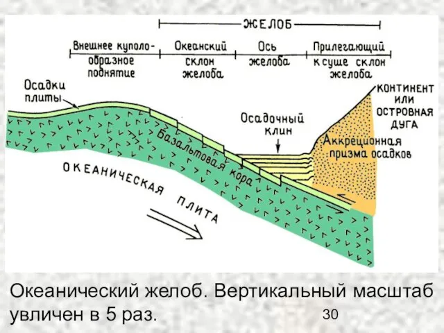 Океанический желоб. Вертикальный масштаб увличен в 5 раз.