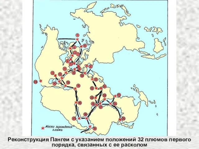 Реконструкция Пангеи с указанием положений 32 плюмов первого порядка, связанных с ее расколом