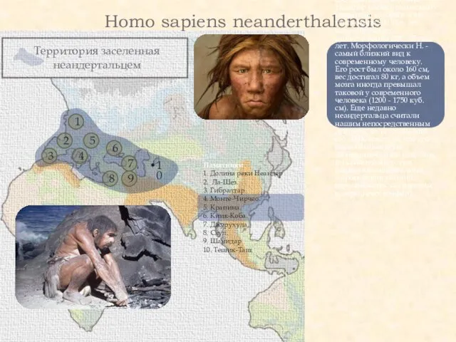 Территория заселенная неандертальцем Homo sapiens neanderthalensis 2 1 3 4 5