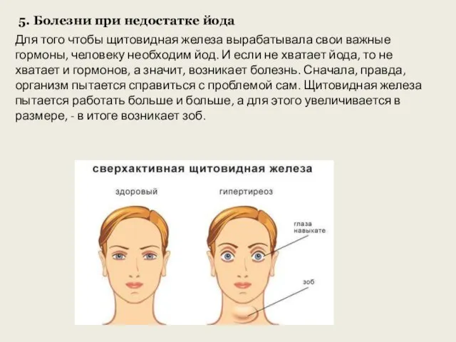 Для того чтобы щитовидная железа вырабатывала свои важные гормоны, человеку необходим