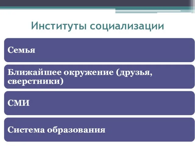 Институты социализации