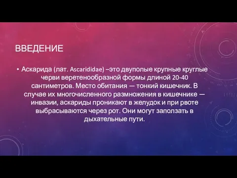 ВВЕДЕНИЕ Аскарида (лат. Ascarididae) –это двуполые крупные круглые черви веретенообразной формы