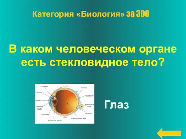 В каком человеческом органе есть стекловидное тело? Глаз Категория «Биология» за 300