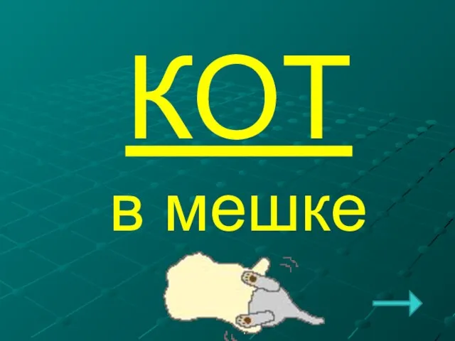 КОТ в мешке