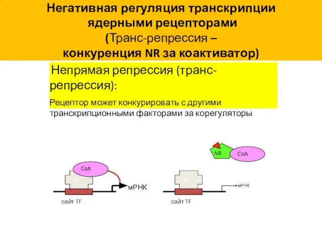 Негативная регуляция транскрипции ядерными рецепторами (Транс-репрессия – конкуренция NR за коактиватор)