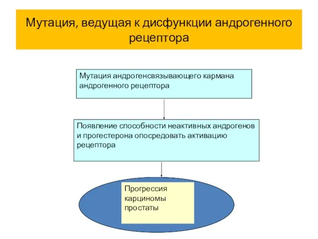 Мутация, ведущая к дисфункции андрогенного рецептора Мутация андрогенсвязывающего кармана андрогенного рецептора