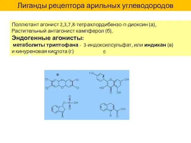 Поллютант агонист 2,3,7,8-тетрахлордибензо-п-диоксин (а), Растительный антагонист кампферол (б), Эндогенные агонисты: метаболиты
