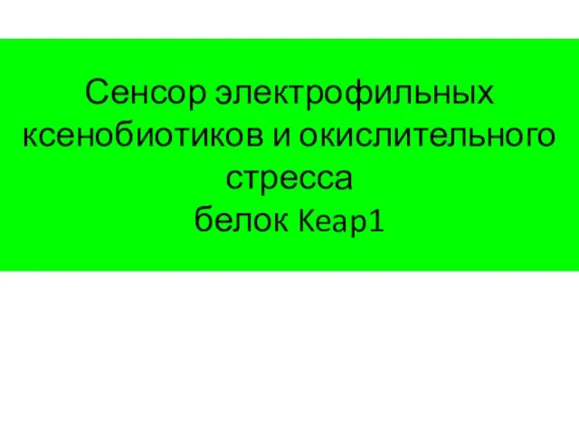 Сенсор электрофильных ксенобиотиков и окислительного стресса белок Keap1