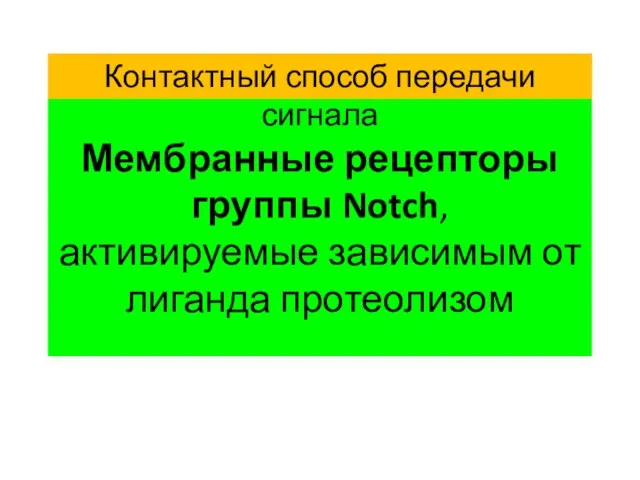 Мембранные рецепторы группы Notch, активируемые зависимым от лиганда протеолизом Контактный способ передачи сигнала