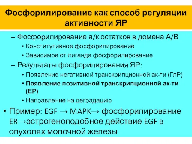 Фосфорилирование как способ регуляции активности ЯР Фосфорилирование а/к остатков в домена