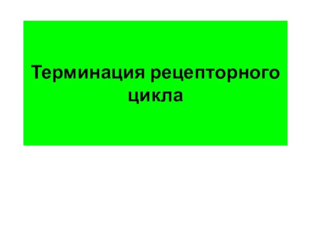 Терминация рецепторного цикла