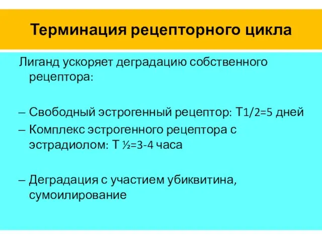 Терминация рецепторного цикла Лиганд ускоряет деградацию собственного рецептора: Свободный эстрогенный рецептор: