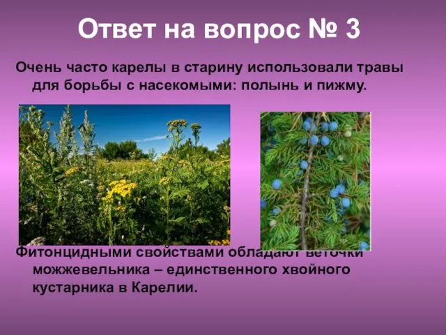 Ответ на вопрос № 3 Очень часто карелы в старину использовали