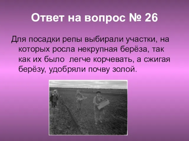 Ответ на вопрос № 26 Для посадки репы выбирали участки, на