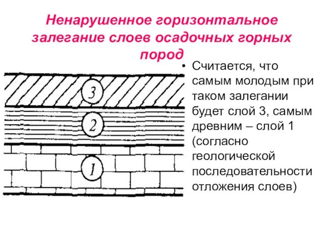 Ненарушенное горизонтальное залегание слоев осадочных горных пород Считается, что самым молодым