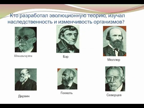 Кто разработал эволюционную теорию, изучал наследственность и изменчивость организмов? Шмальгаузен Мюллер Бэр Геккель Северцев Дарвин