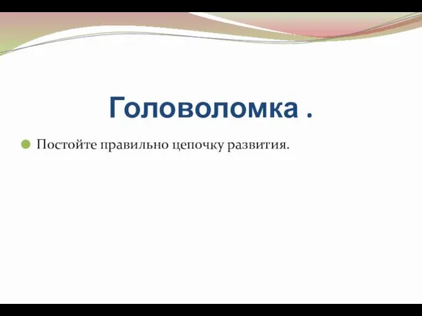 Головоломка . Постойте правильно цепочку развития.