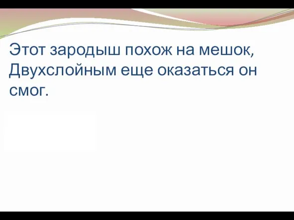 Этот зародыш похож на мешок, Двухслойным еще оказаться он смог. (Гаструла)