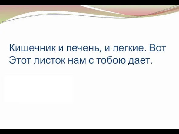 Кишечник и печень, и легкие. Вот Этот листок нам с тобою дает. (Энтодерма)