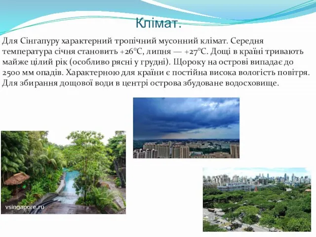 Клімат. Для Сінгапуру характерний тропічний мусонний клімат. Середня температура січня становить