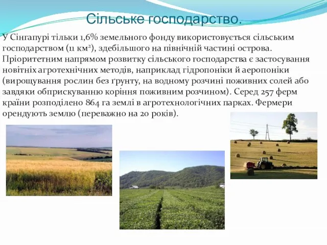 Сільське господарство. У Сінгапурі тільки 1,6% земельного фонду використовується сільським господарством