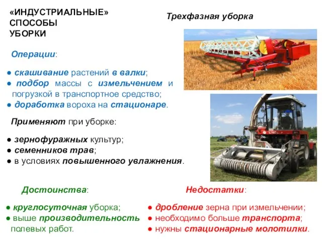 «ИНДУСТРИАЛЬНЫЕ» СПОСОБЫ УБОРКИ Трехфазная уборка Достоинства: круглосуточная уборка; выше производительность полевых