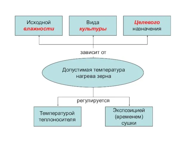 Допустимая температура нагрева зерна Температурой теплоносителя Экспозицией (временем) сушки регулируется Исходной