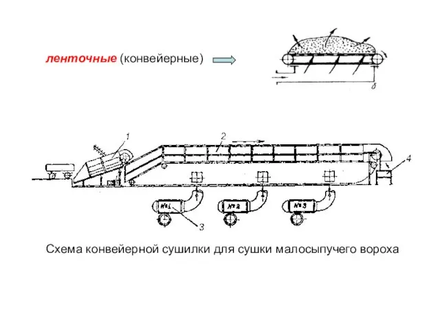 ленточные (конвейерные) Схема конвейерной сушилки для сушки малосыпучего вороха