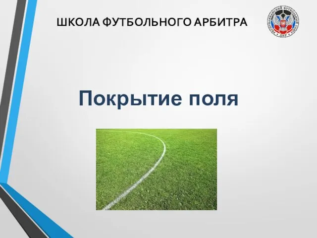 ШКОЛА ФУТБОЛЬНОГО АРБИТРА Покрытие поля