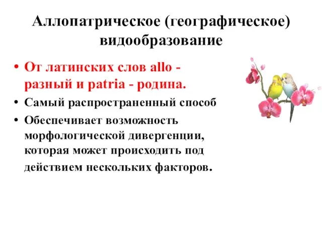 Аллопатрическое (географическое) видообразование От латинских слов allo - разный и patria