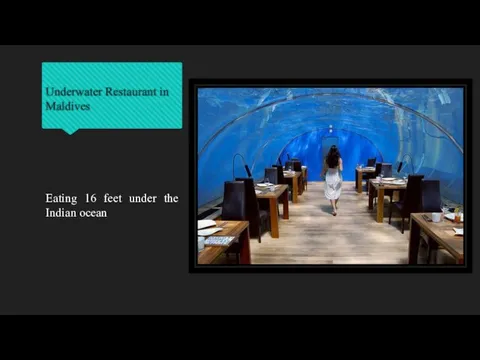 Underwater Restaurant in Maldives Eating 16 feet under the Indian ocean