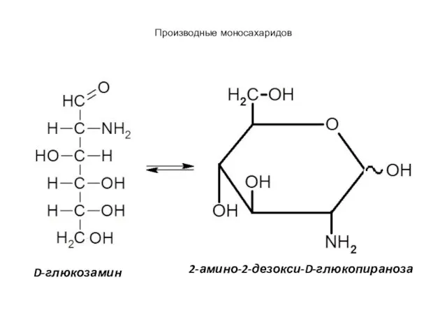 D-глюкозамин 2-амино-2-дезокси-D-глюкопираноза Производные моносахаридов