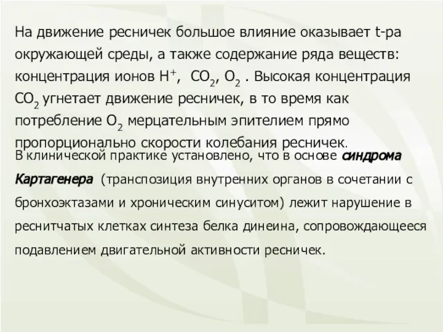 На движение ресничек большое влияние оказывает t-ра окружающей среды, а также