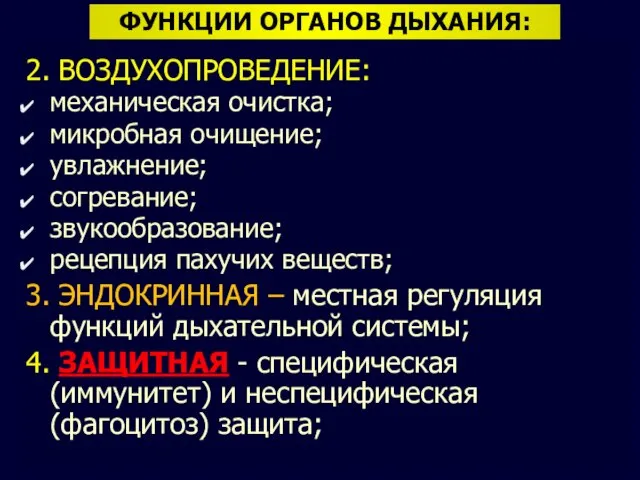 ФУНКЦИИ ОРГАНОВ ДЫХАНИЯ: 2. ВОЗДУХОПРОВЕДЕНИЕ: механическая очистка; микробная очищение; увлажнение; согревание;