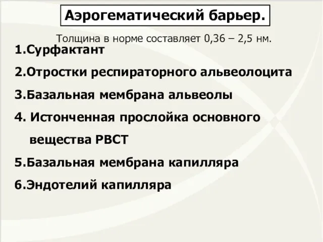 1.Сурфактант 2.Отростки респираторного альвеолоцита 3.Базальная мембрана альвеолы 4. Истонченная прослойка основного