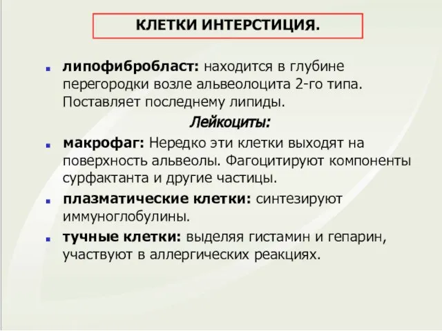 КЛЕТКИ ИНТЕРСТИЦИЯ. липофибробласт: находится в глубине перегородки возле альвеолоцита 2-го типа.