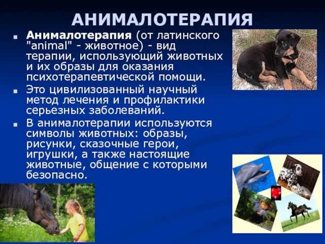 АНИМАЛОТЕРАПИЯ Анималотерапия (от латинского "animal" - животное) - вид терапии, использующий