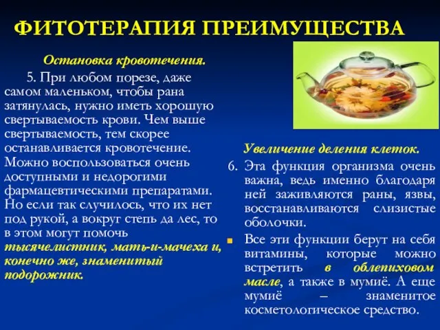 ФИТОТЕРАПИЯ ПРЕИМУЩЕСТВА Остановка кровотечения. 5. При любом порезе, даже самом маленьком,