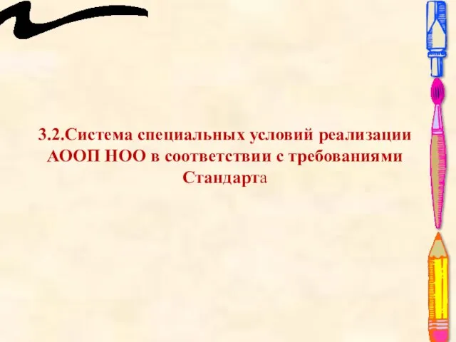 3.2.Система специальных условий реализации АООП НОО в соответствии с требованиями Стандарта