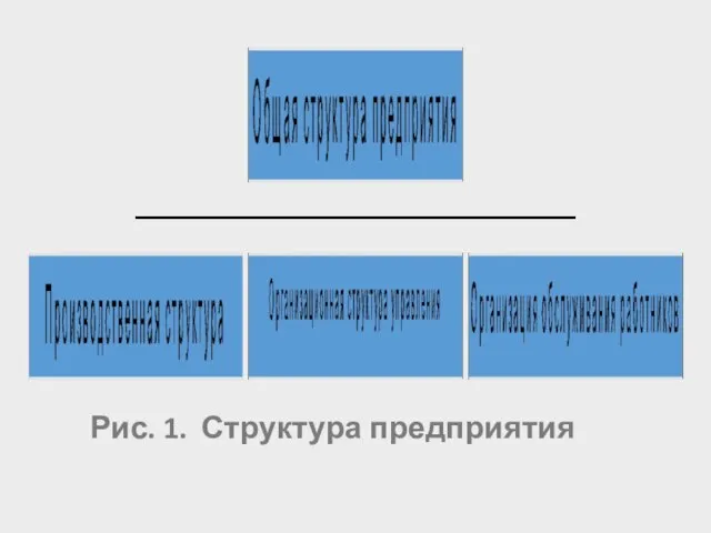 Рис. 1. Структура предприятия